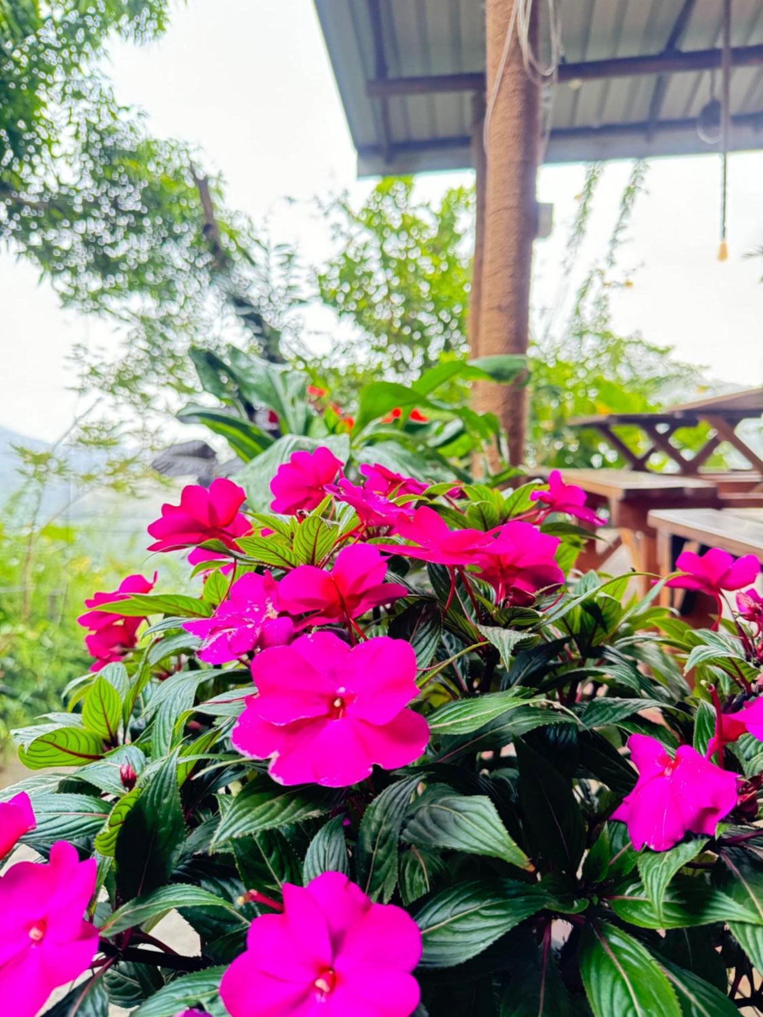 Will Guest Homestay Ella Exterior foto